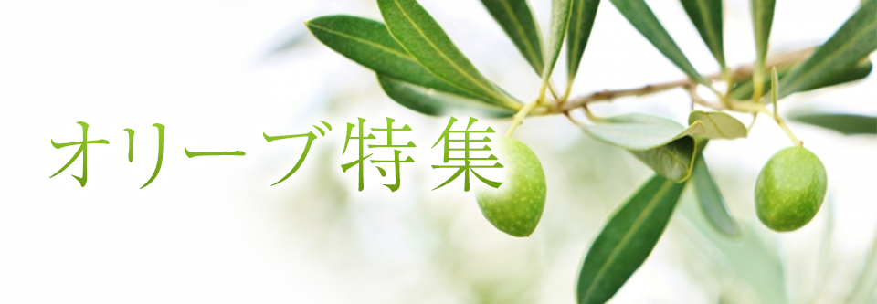 オリーブ特集
