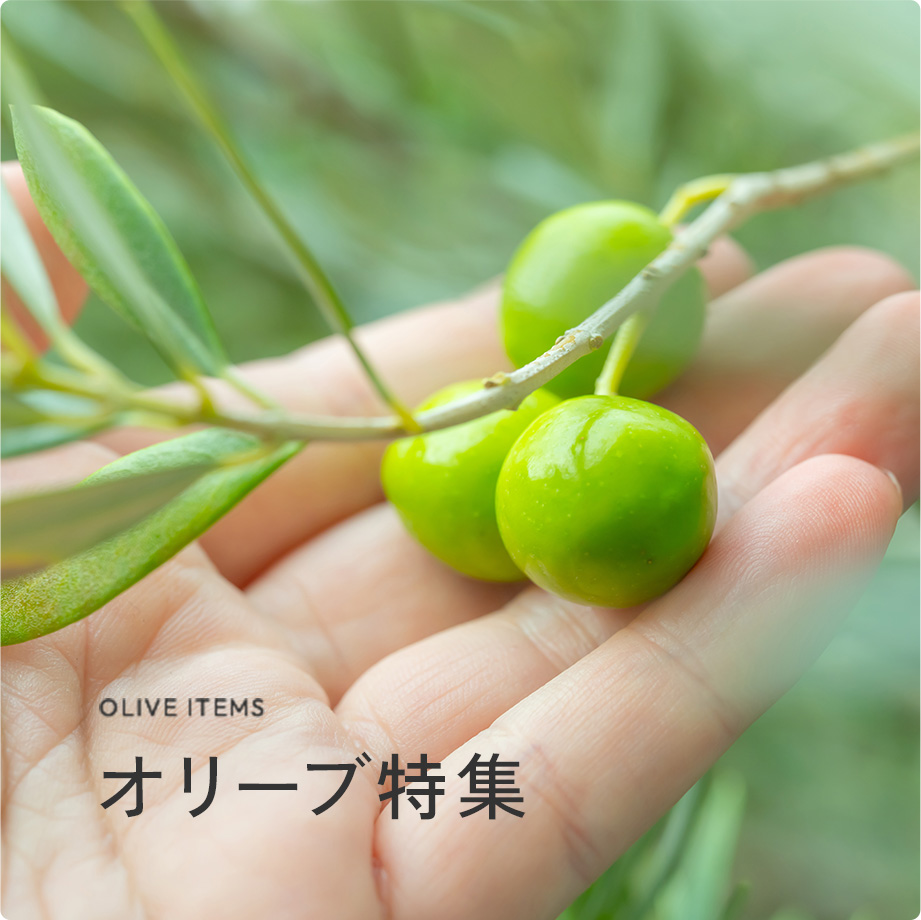 Slider Image 3