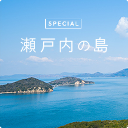 Slider Image 2