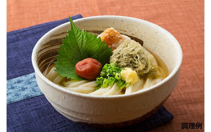 大庄屋(株)】讃岐うどん「ゆう玄プレミアム」10人前セット | 通販