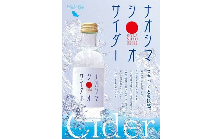 塩サイダー様 Amazon.co.jp: アサヒ飲料 三ツ矢 塩サイダー 500mlペットボトル×24本