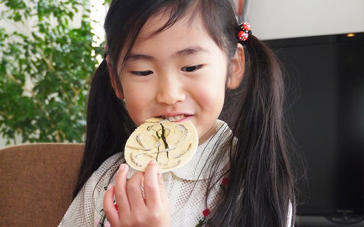 【(有) 象屋元蔵】おととせんべい　22枚入