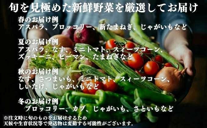 コスモ農緑】のどかな讃岐平野で育てた旬の野菜詰め合わせセット 5品目
