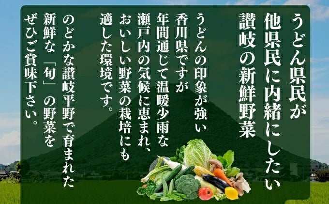 コスモ農緑】のどかな讃岐平野で育てた旬の野菜詰め合わせセット 5品目