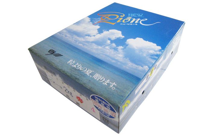 ※冷蔵※【(株)五色青果】ニューピオーネ　2kg化粧　3～5房入り