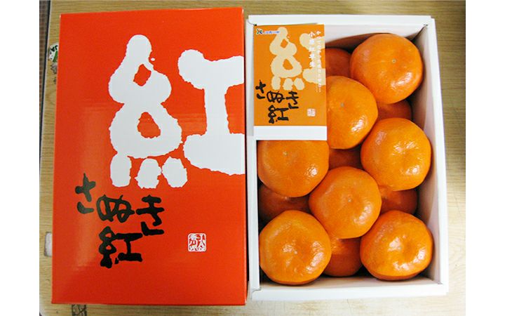 ※冷蔵※【(株)五色青果】さぬき讃フルーツ　ハウスさぬき紅みかん　1kg化粧　L～S