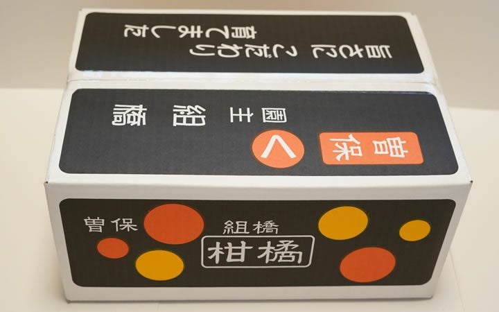 【まるく農園】曽保みかん5kg　家庭用