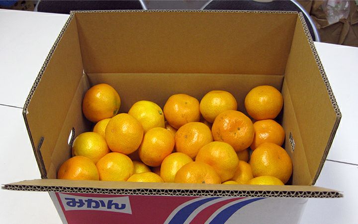株)五色青果】温州みかん 約10kg | 通販【栗林庵オンラインショップ
